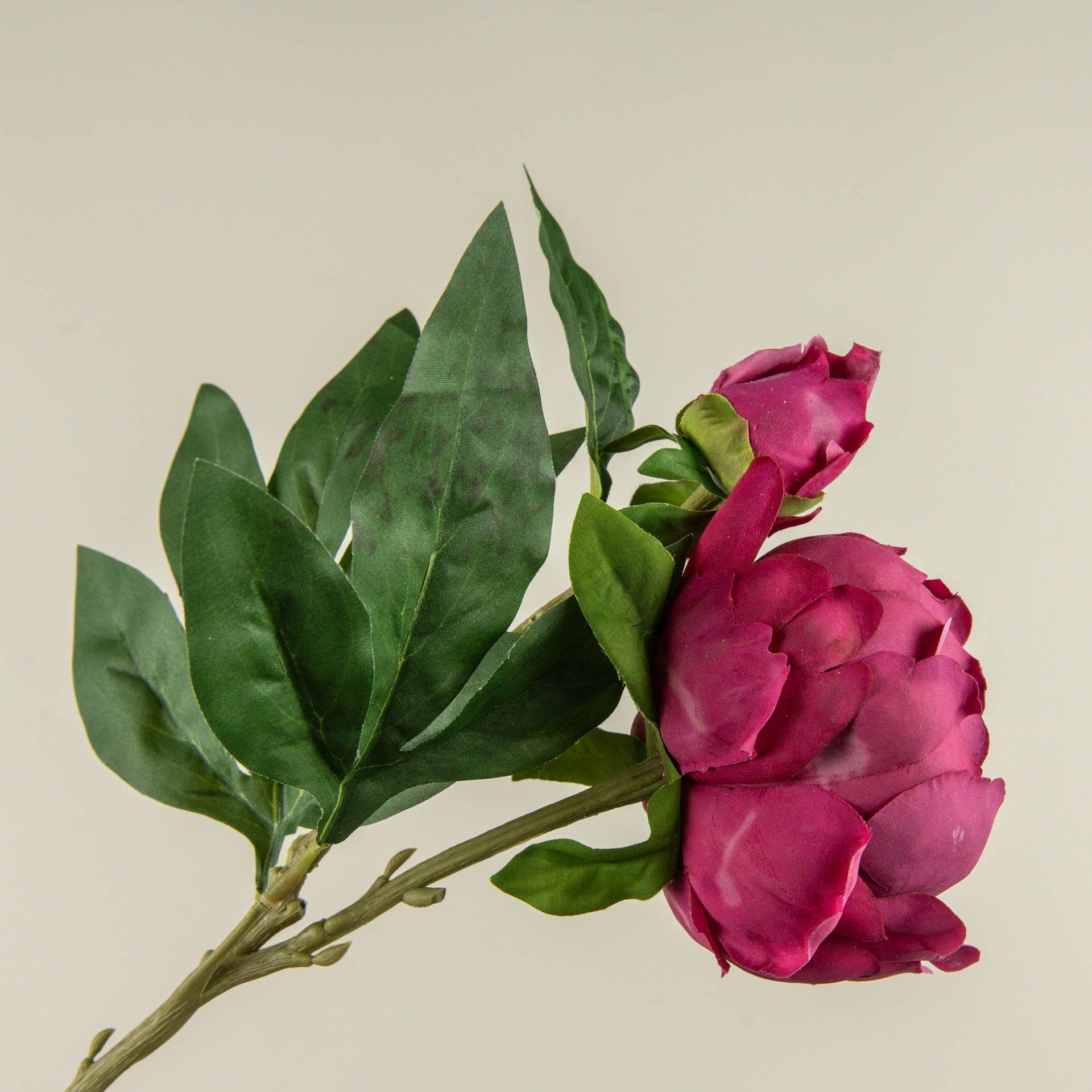 Dark Pink Peony Stem
