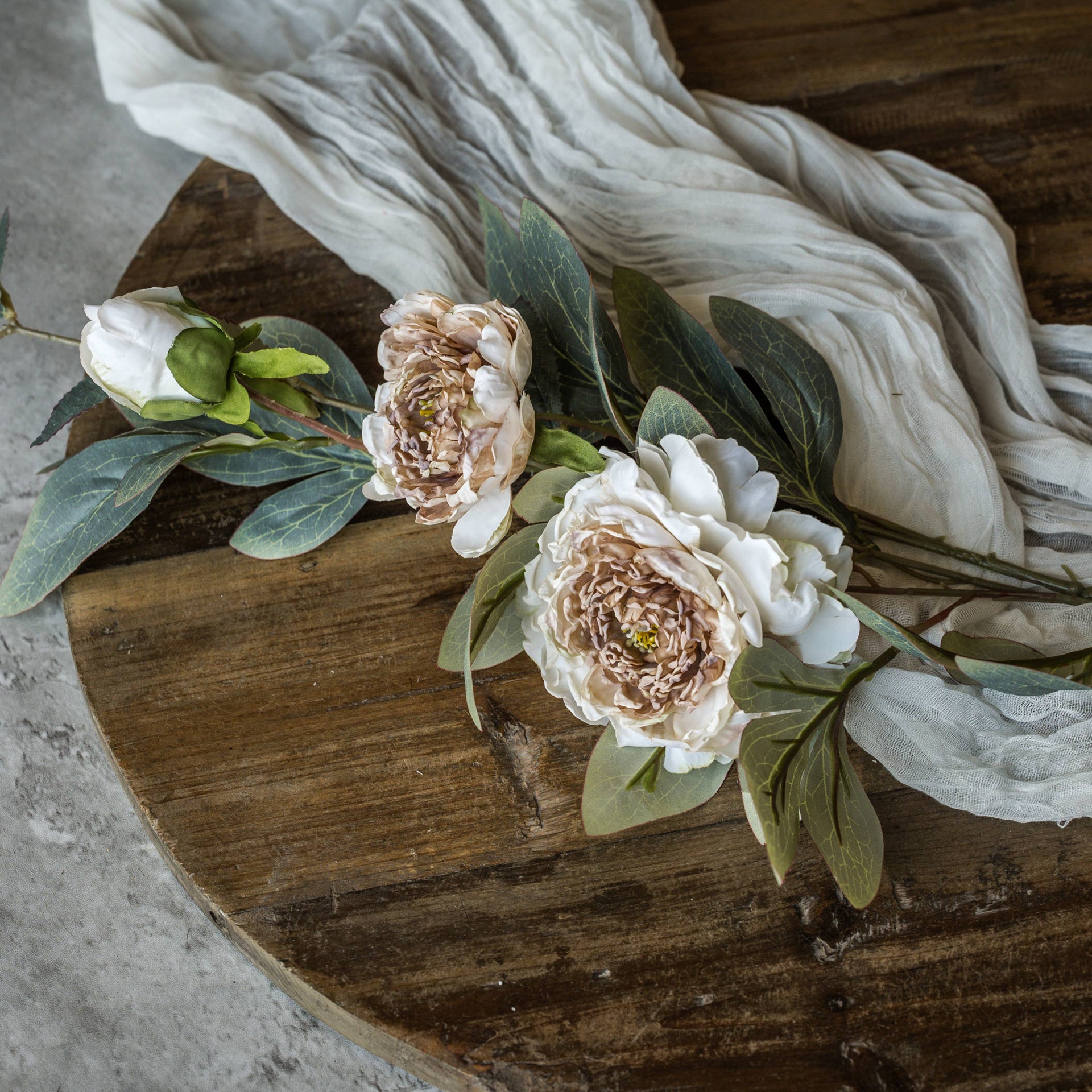 Cream and Brown Peony Stem