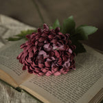 Autumn Burgundy Mum Stem