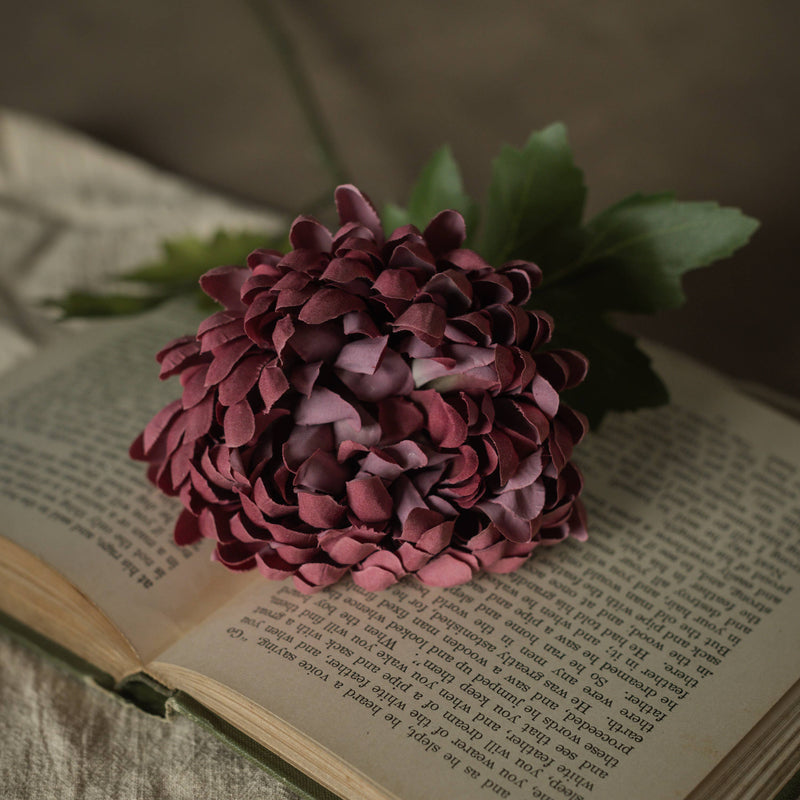 Autumn Burgundy Mum Stem
