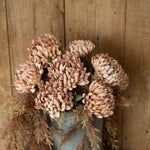 Straw Mum Stem