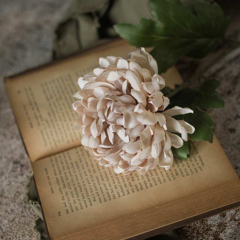 Autumn Cream Mum Stem