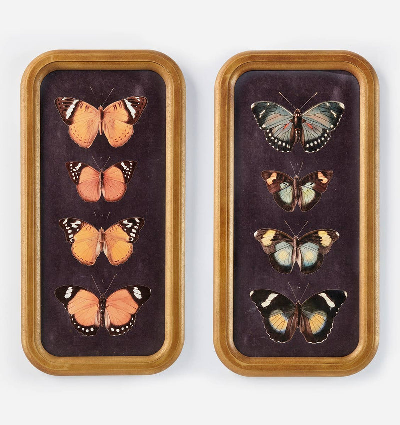 Framed Butterfly Wall Print, 2 Asst.