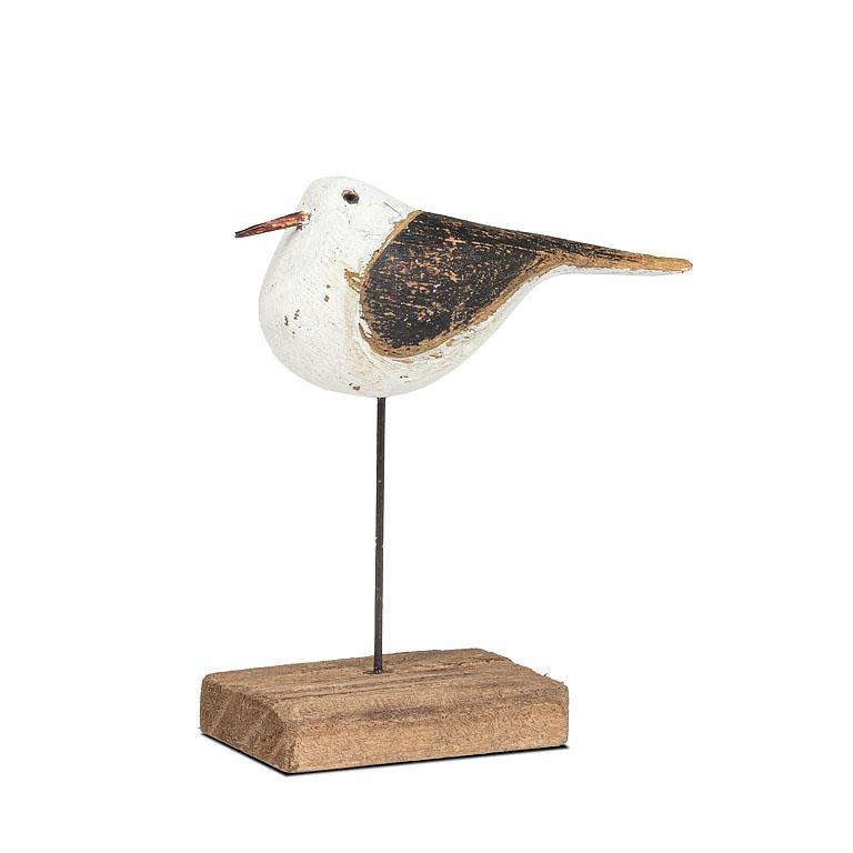 Shoreline Bird