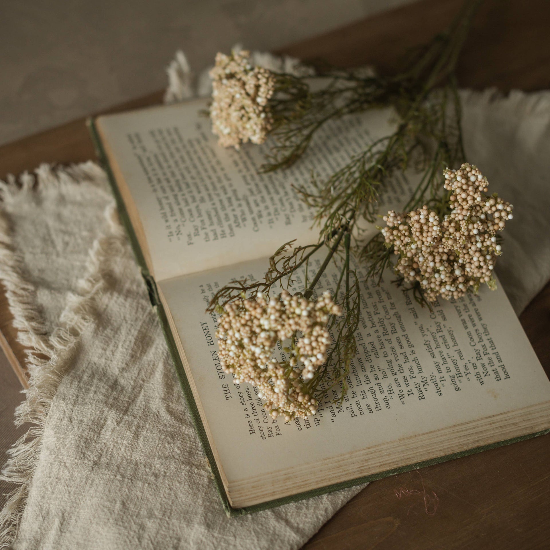 Cream Queen Anne’s Lace Stem