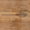Grey Berry Branch