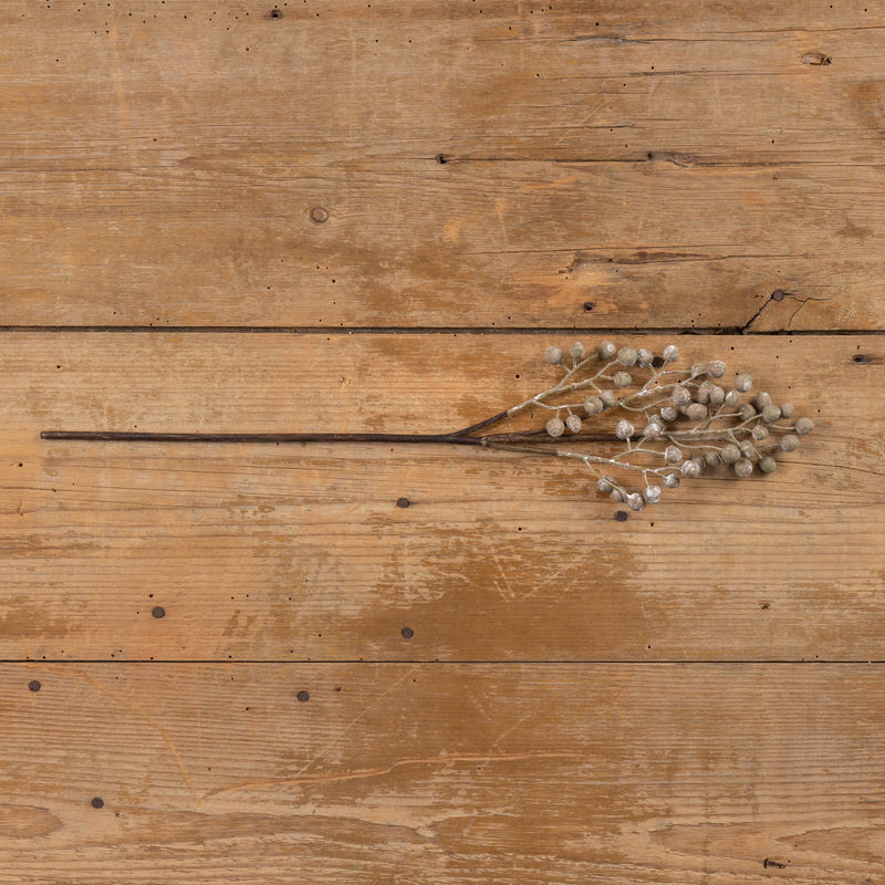 Grey Berry Branch