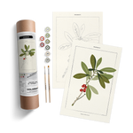 Mezereon Botanical Paint by Numbers Kit