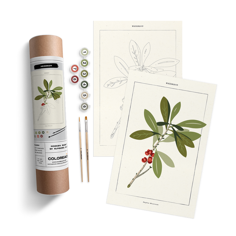 Mezereon Botanical Paint by Numbers Kit