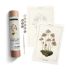 Mushroom Botanical Paint by Numbers Kit