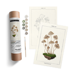 Mushroom Botanical Paint by Numbers Kit