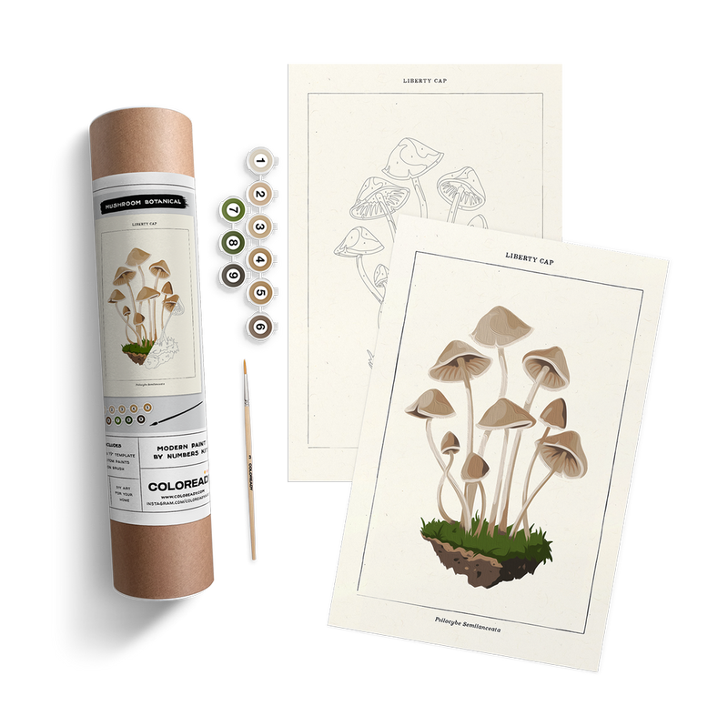 Mushroom Botanical Paint by Numbers Kit