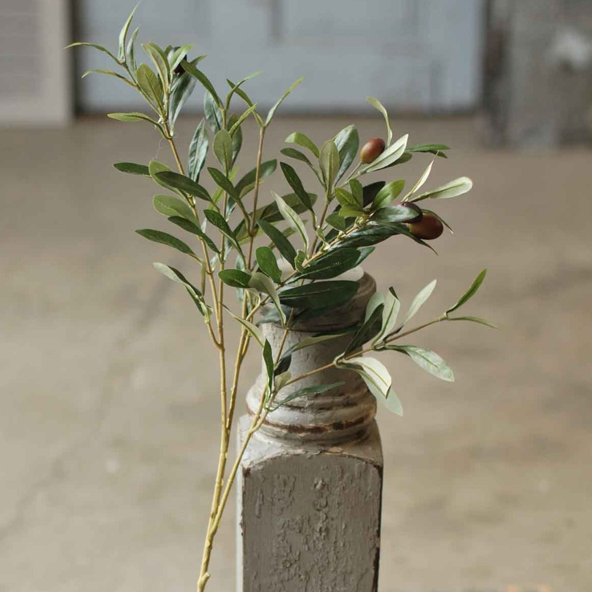 Faux Olive Stem