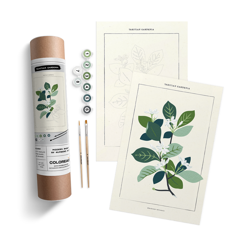 Tahitian Paint by Numbers Kit