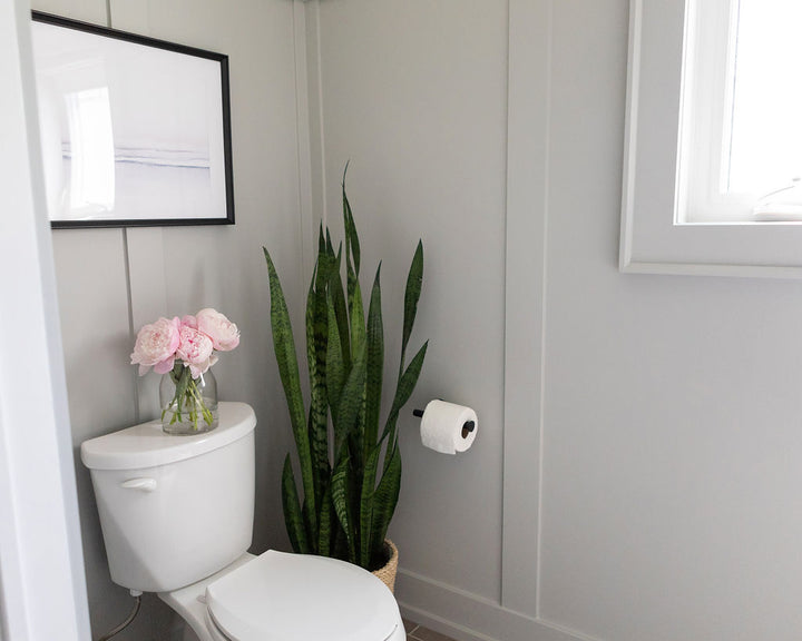 Pink Lemon Decor, Pink Lemon Decor Print, digital prints, digital print, home décor print, home décor prints, water print