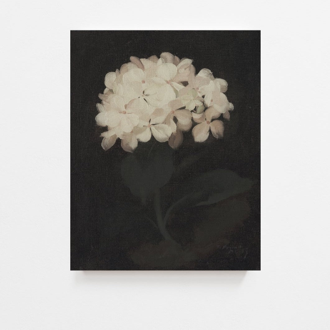 Hydrangea Vintage Art Print