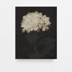 floral art, floral print, vintage art print, digital download