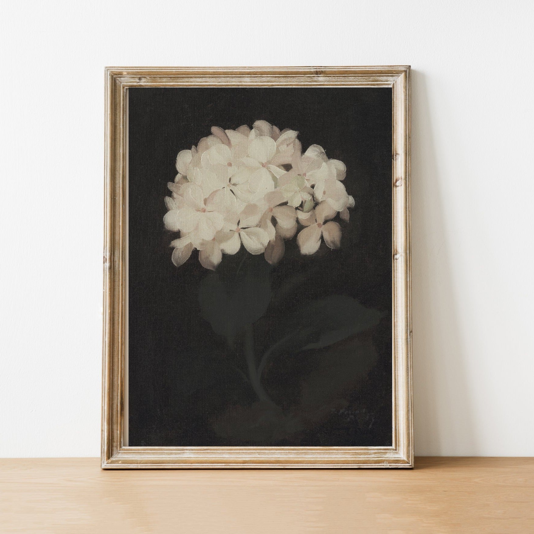 Hydrangea Vintage Art Print