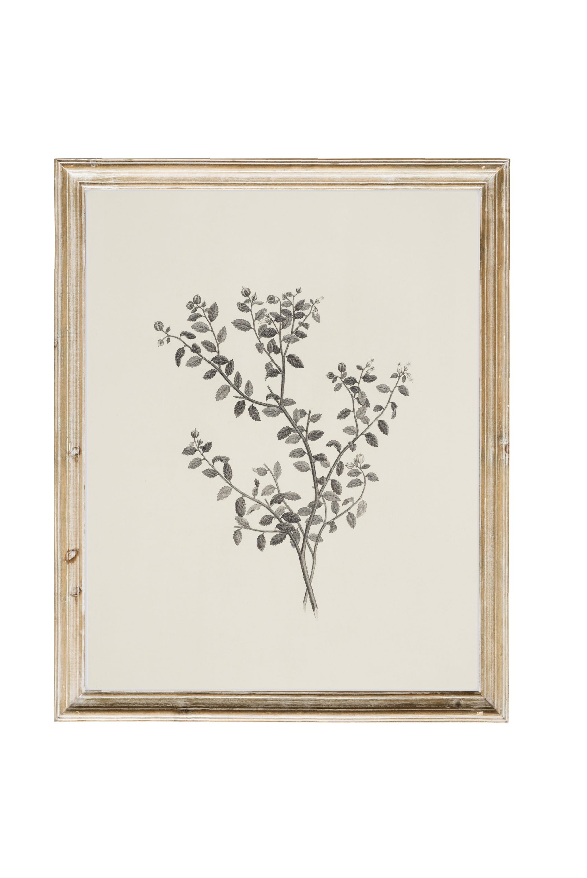 Leaf Print