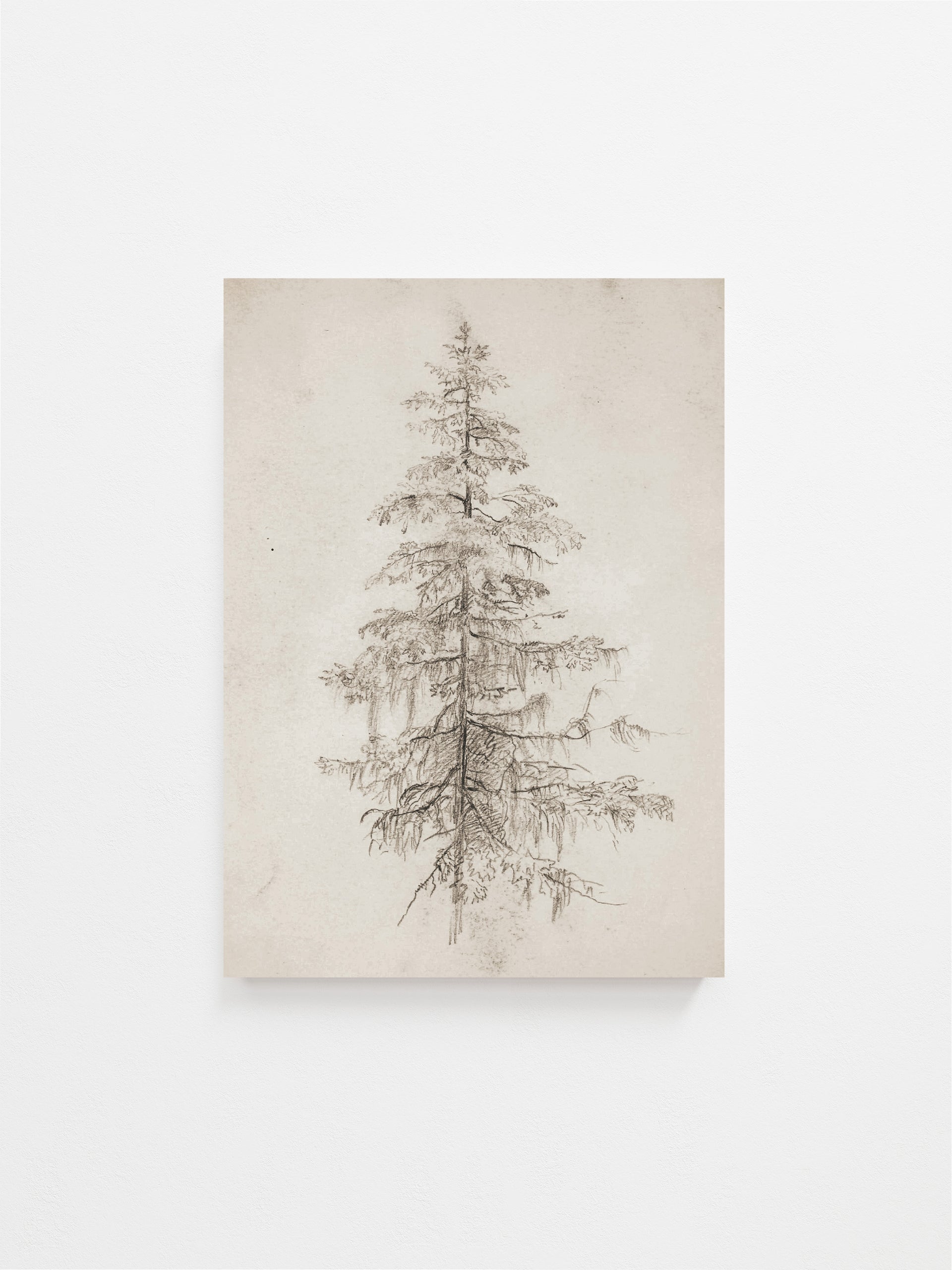 Tree Sketch