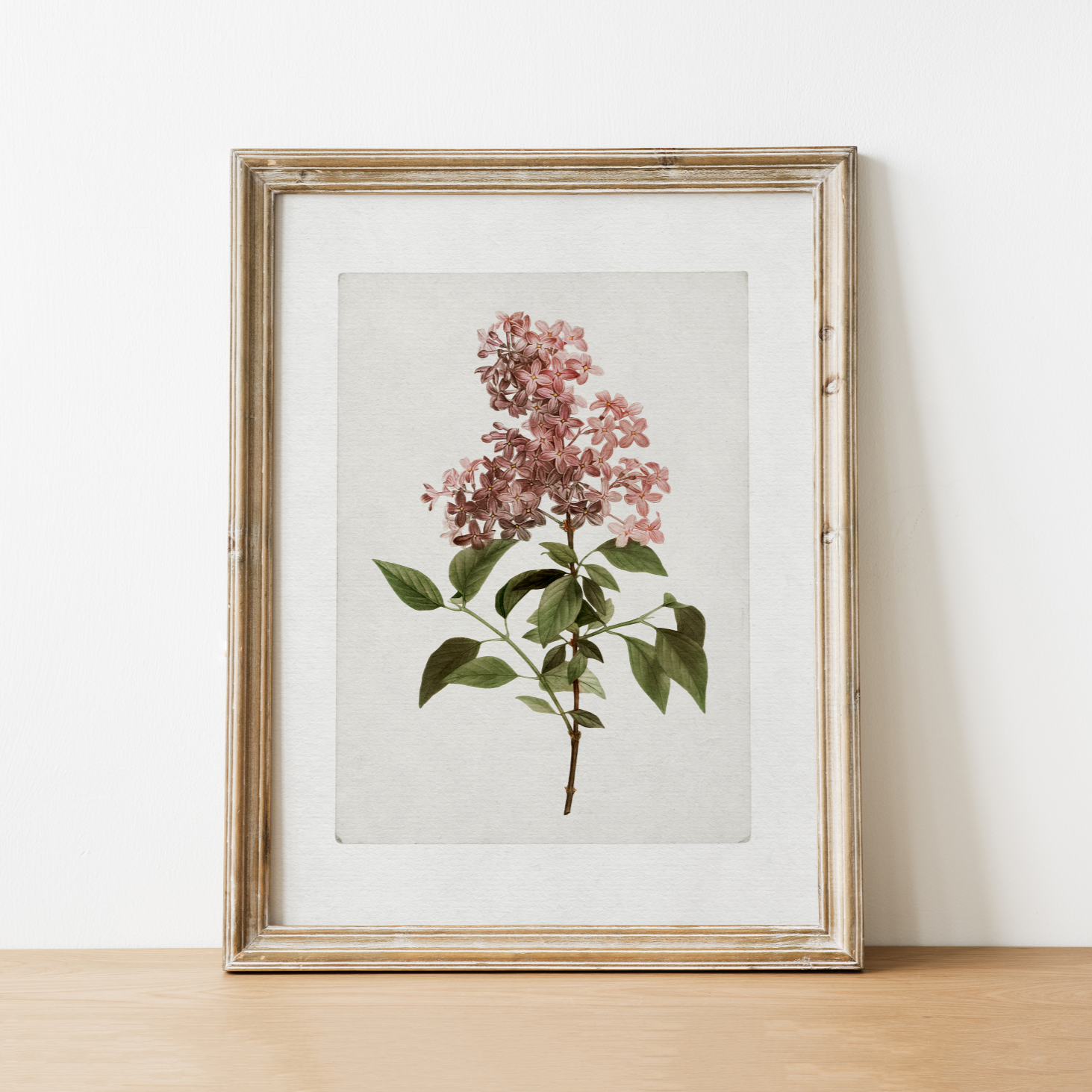 Lilac Vintage Art Print