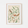 botanical vintage print, vintage art, digital art, digital print, digital download, art print, gallery wall