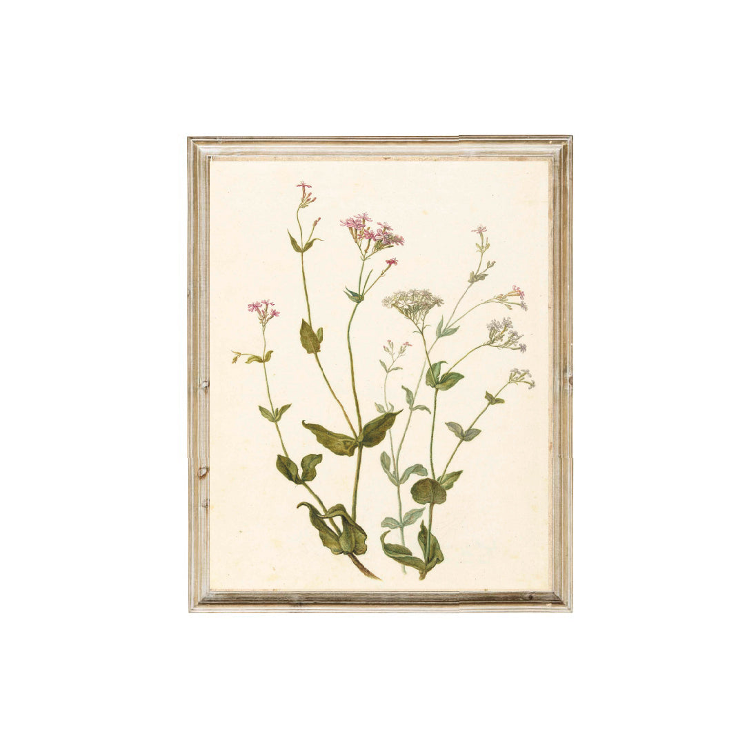 Vintage floral art. Canadian vintage art. 