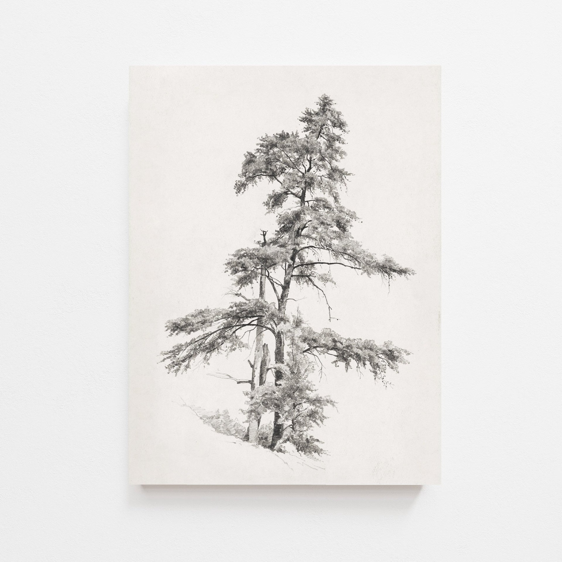 Tree Vintage Print