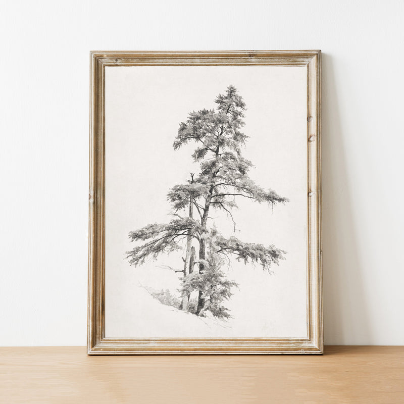 Tree Vintage Print