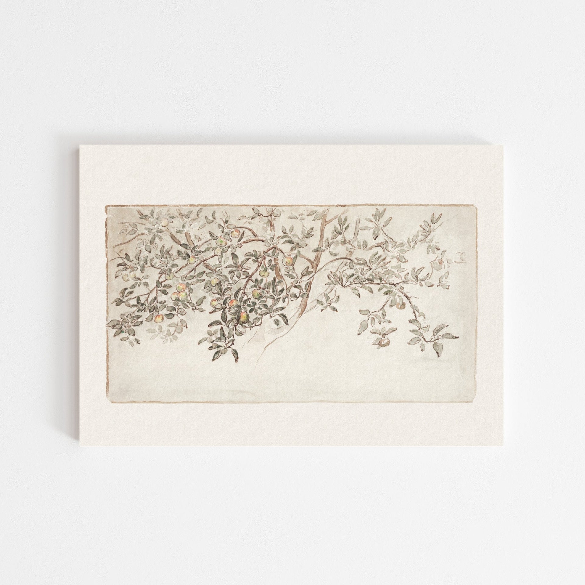 Apple Tree Vintage Art Print