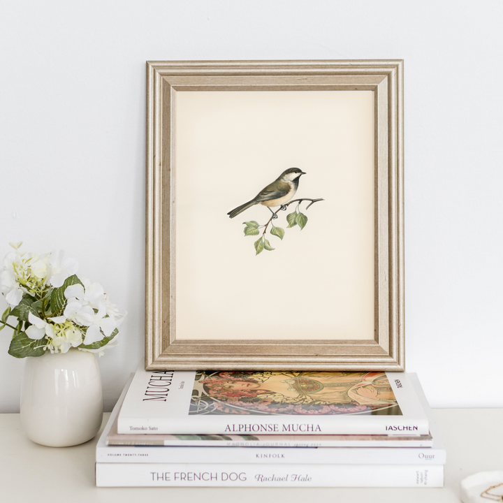 bird print, vintage print, vintage art, digital art, digital print, digital download, art print, gallery wall