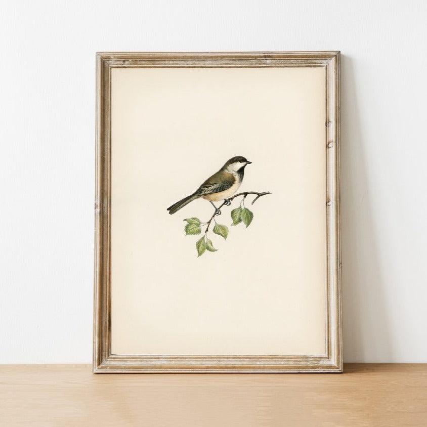 bird print, vintage print, vintage art, digital art, digital print, digital download, art print, gallery wall