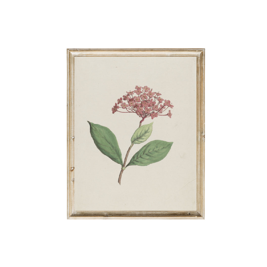 vintage print, vintage art, digital art, digital print, digital download, art print, gallery wall, flower