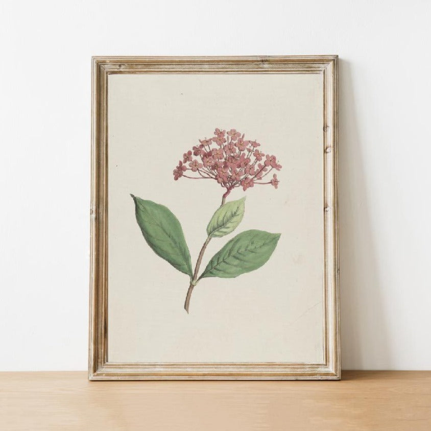 vintage print, vintage art, digital art, digital print, digital download, art print, gallery wall