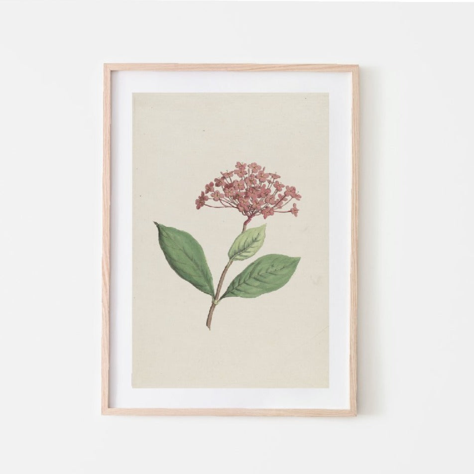Vintage Floral Print  57 – PINK LEMON DECOR