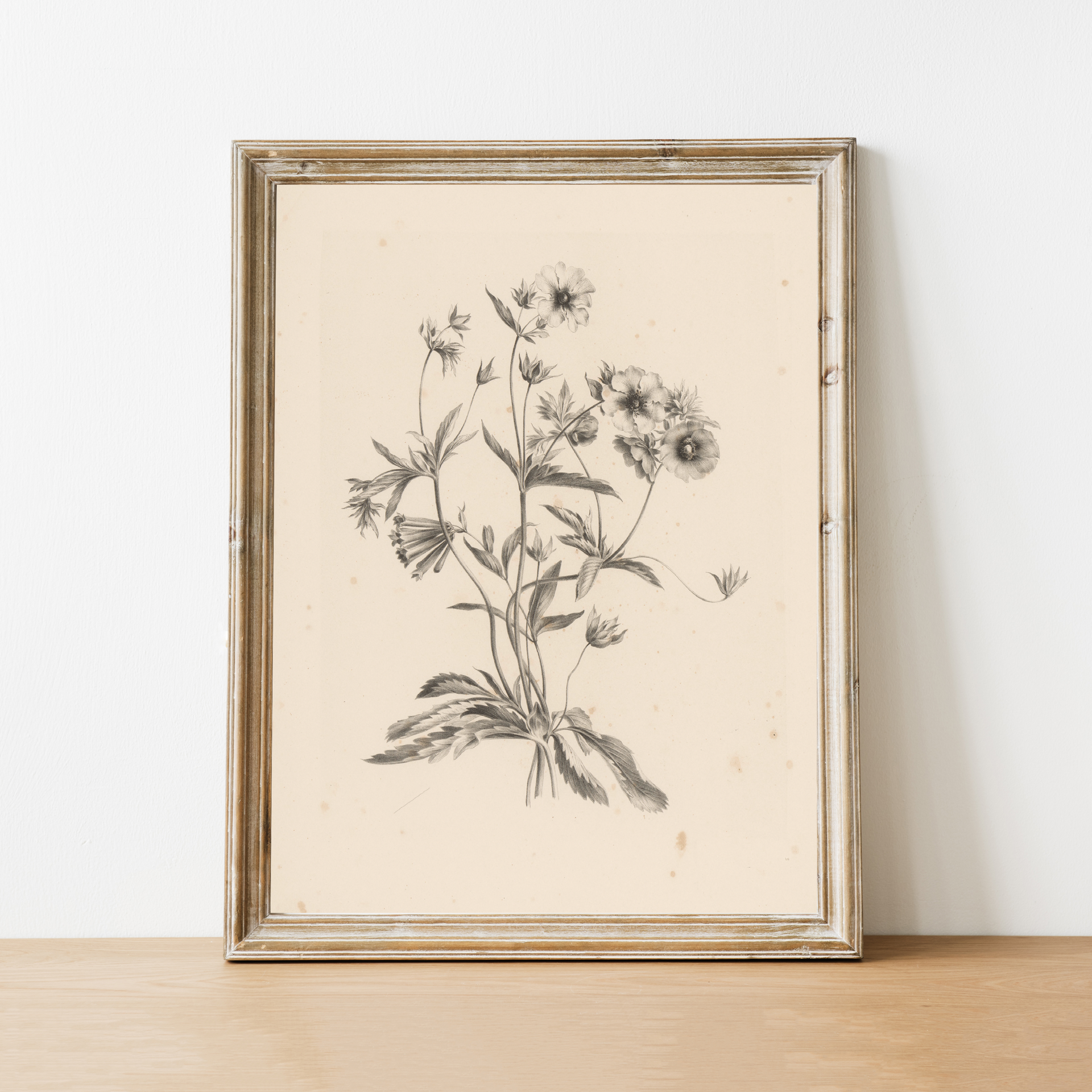 vintage print, vintage art, digital art, digital print, digital download, art print, gallery wall
