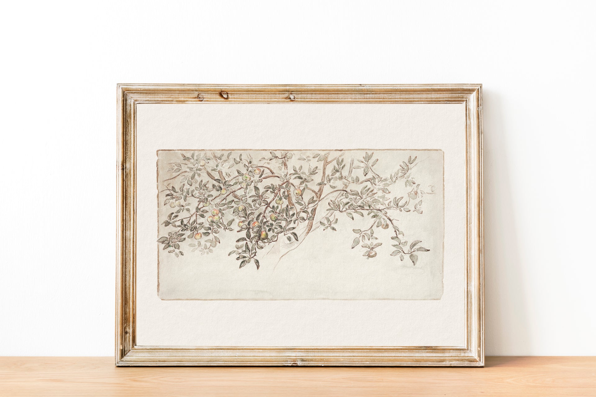 Apple Tree Vintage Art Print
