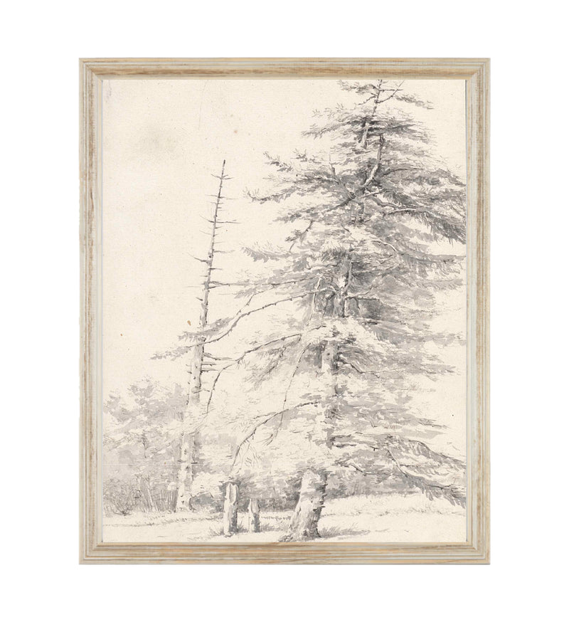 Vintage art print with large vintage tree
