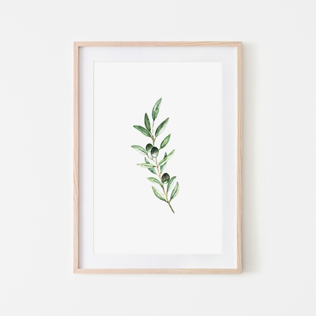 Olive Branch Print – PINK LEMON DECOR