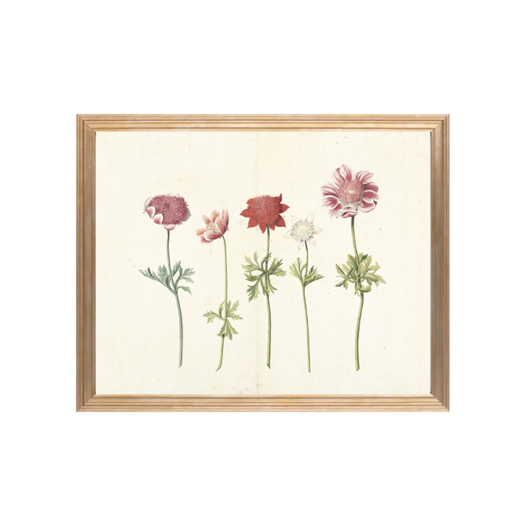 Vintage flowers art print