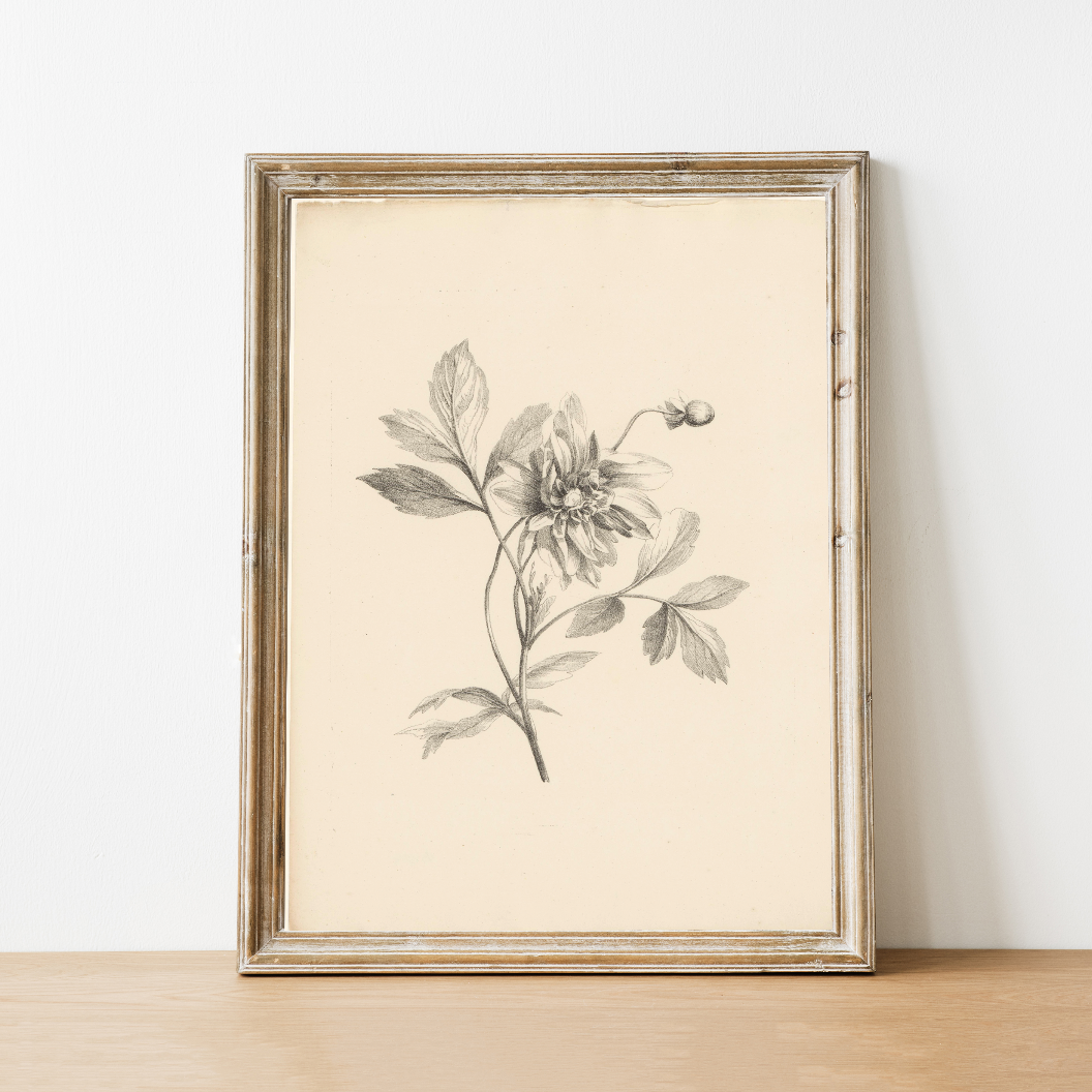 vintage print, vintage art, digital art, digital print, digital download, art print, gallery wall